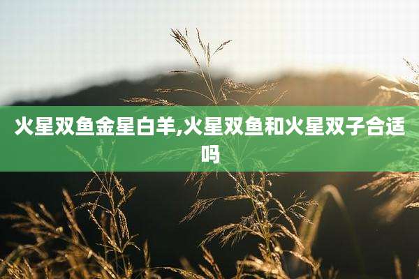 火星双鱼金星白羊,火星双鱼和火星双子合适吗