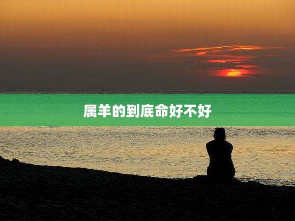 属羊的到底命好不好