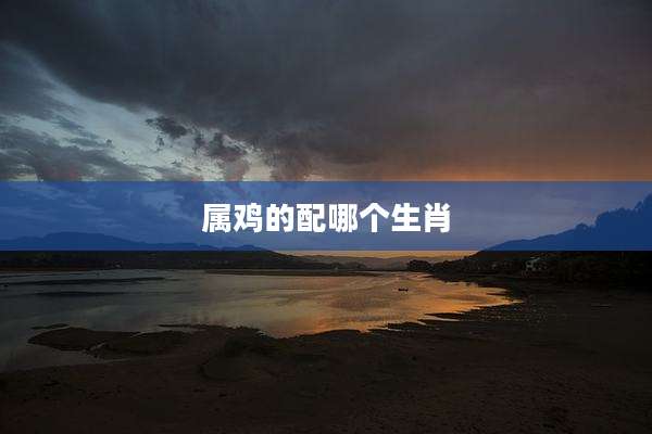 属鸡的配哪个生肖