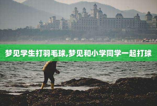 梦见学生打羽毛球,梦见和小学同学一起打球