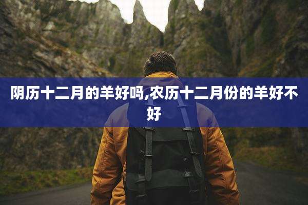 阴历十二月的羊好吗,农历十二月份的羊好不好