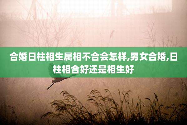 合婚日柱相生属相不合会怎样,男女合婚,日柱相合好还是相生好