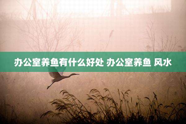 办公室养鱼有什么好处 办公室养鱼 风水