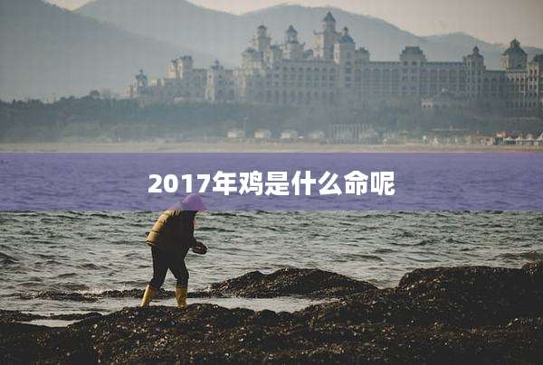 2017年鸡是什么命呢