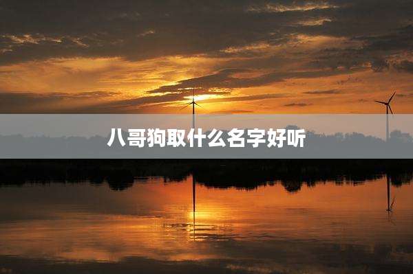 八哥狗取什么名字好听