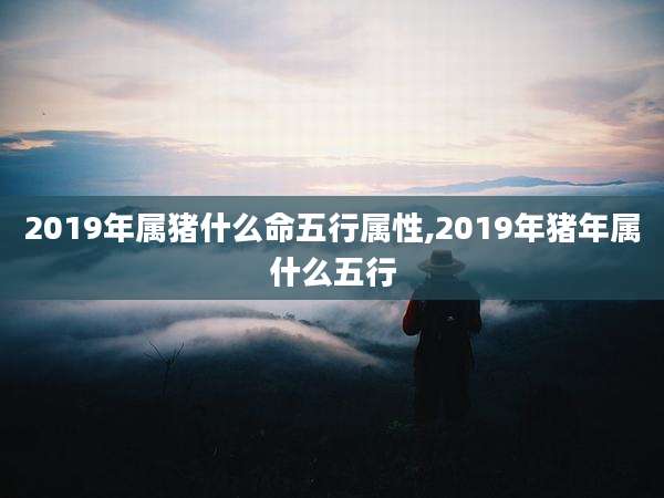 2019年属猪什么命五行属性,2019年猪年属什么五行