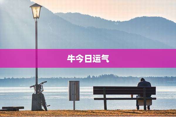 牛今日运气