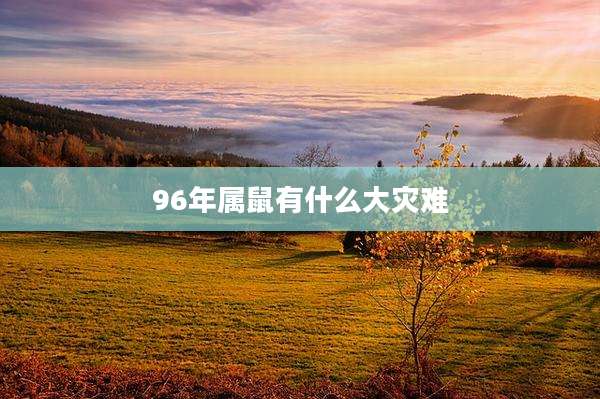 96年属鼠有什么大灾难