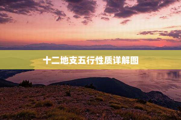 十二地支五行性质详解图