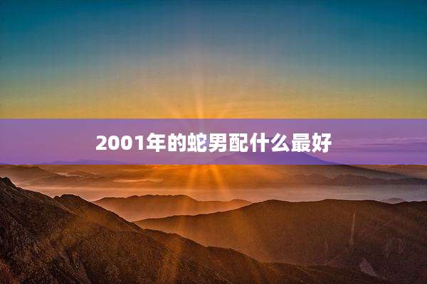 2001年的蛇男配什么最好