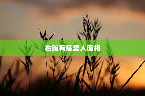 右脸有痣男人面相