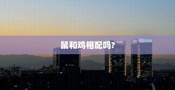 鼠和鸡相配吗?