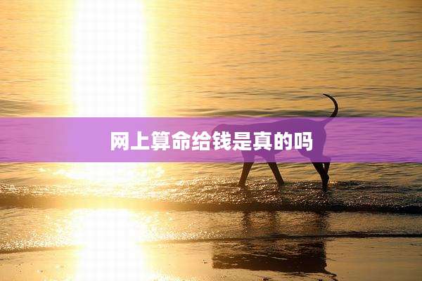 网上算命给钱是真的吗