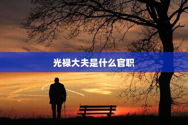 光禄大夫是什么官职