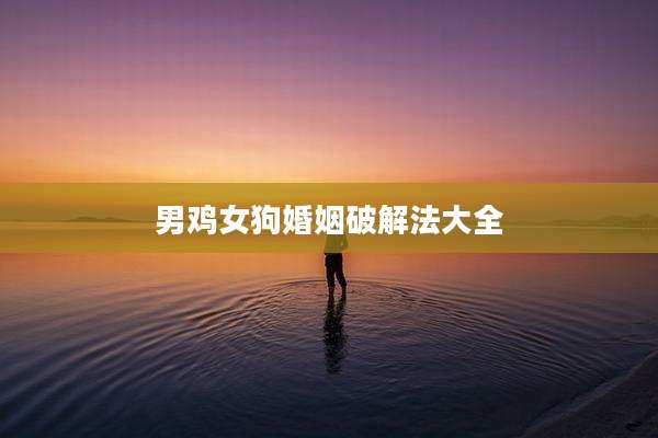 男鸡女狗婚姻破解法大全