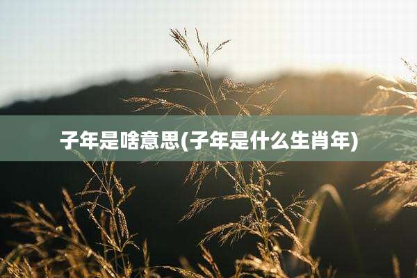 子年是啥意思(子年是什么生肖年)