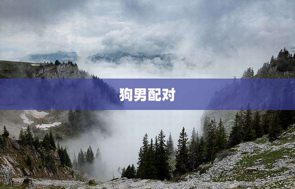 狗男配对