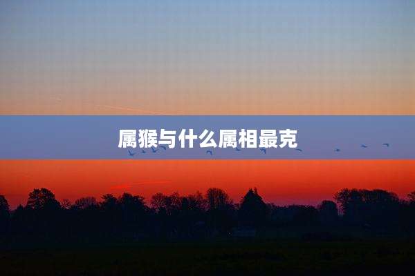 属猴与什么属相最克