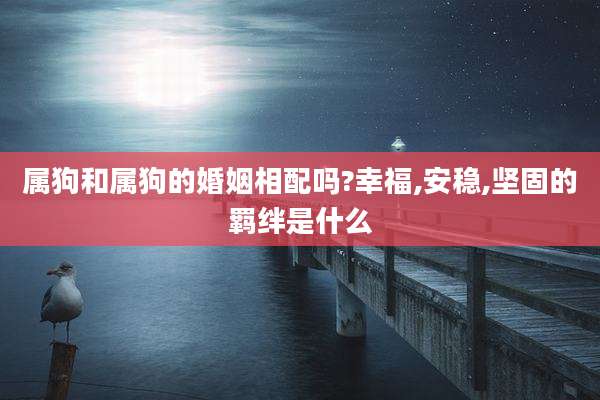 属狗和属狗的婚姻相配吗?幸福,安稳,坚固的羁绊是什么