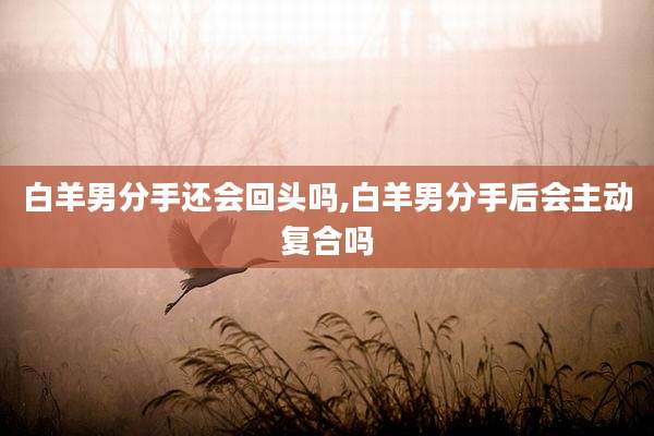 白羊男分手还会回头吗,白羊男分手后会主动复合吗