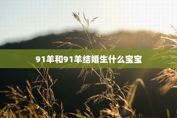 91羊和91羊结婚生什么宝宝