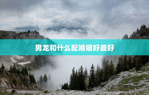 男龙和什么配婚姻好最好