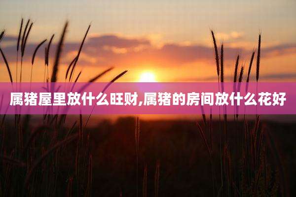 属猪屋里放什么旺财,属猪的房间放什么花好