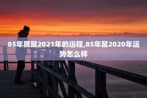 85年属鼠2021年的运程,85年鼠2020年运势怎么样