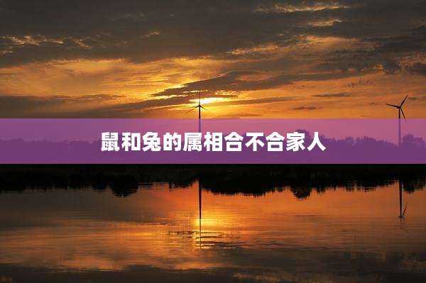 鼠和兔的属相合不合家人