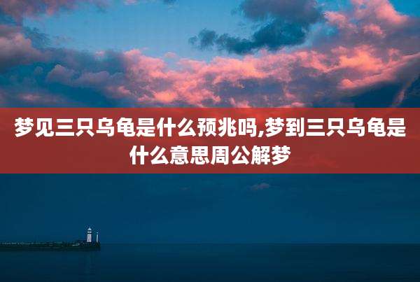 梦见三只乌龟是什么预兆吗,梦到三只乌龟是什么意思周公解梦
