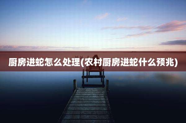 厨房进蛇怎么处理(农村厨房进蛇什么预兆)