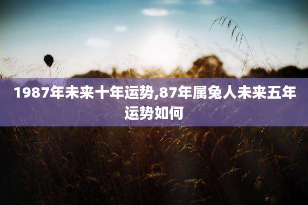 1987年未来十年运势,87年属兔人未来五年运势如何