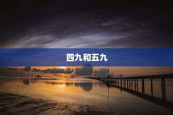 四九和五九