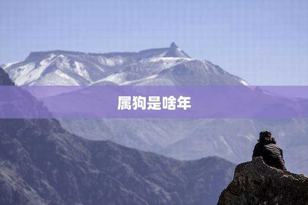 属狗是啥年