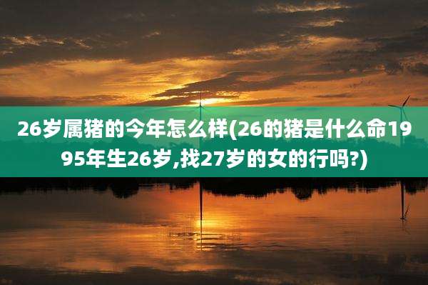 26岁属猪的今年怎么样(26的猪是什么命1995年生26岁,找27岁的女的行吗?)