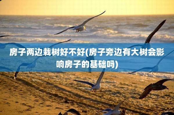 房子两边栽树好不好(房子旁边有大树会影响房子的基础吗)