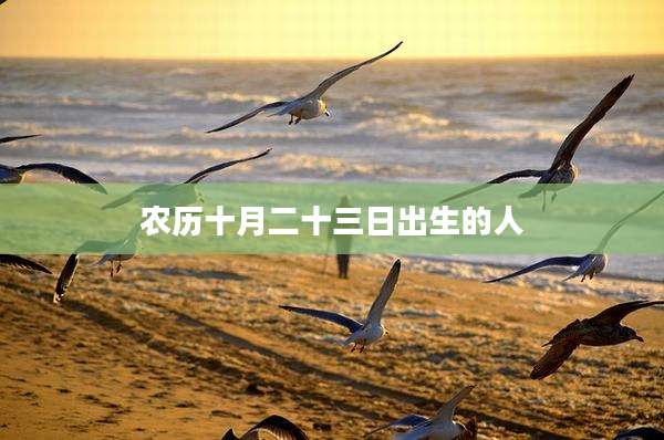 农历十月二十三日出生的人