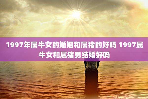 1997年属牛女的婚姻和属猪的好吗 1997属牛女和属猪男结婚好吗
