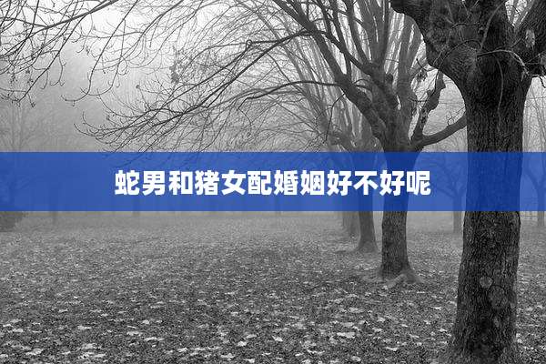 蛇男和猪女配婚姻好不好呢