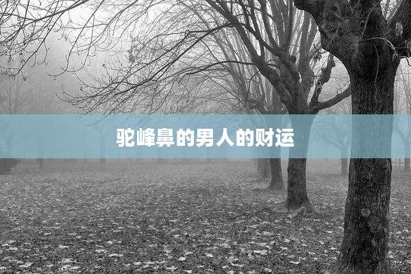驼峰鼻的男人的财运