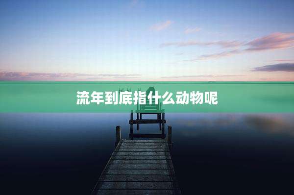 流年到底指什么动物呢