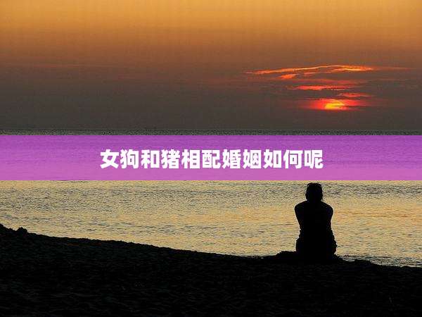 女狗和猪相配婚姻如何呢