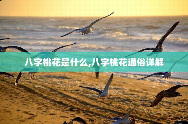 八字桃花是什么,八字桃花通俗详解