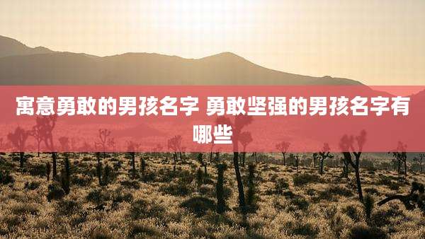寓意勇敢的男孩名字 勇敢坚强的男孩名字有哪些