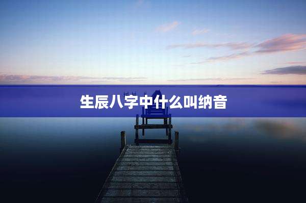 生辰八字中什么叫纳音