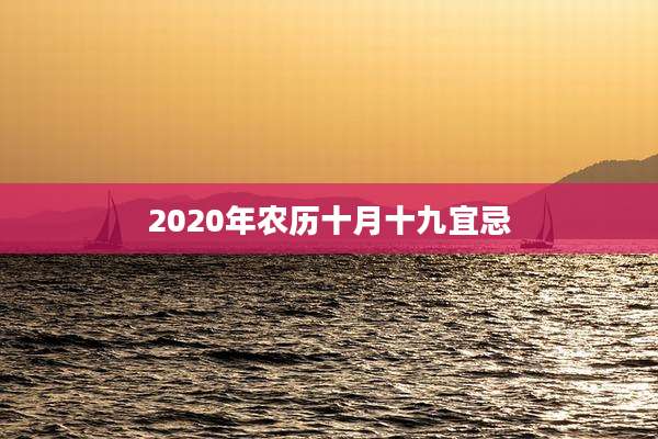2020年农历十月十九宜忌