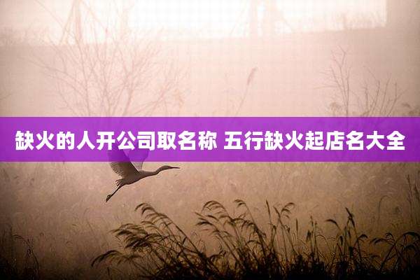 缺火的人开公司取名称 五行缺火起店名大全