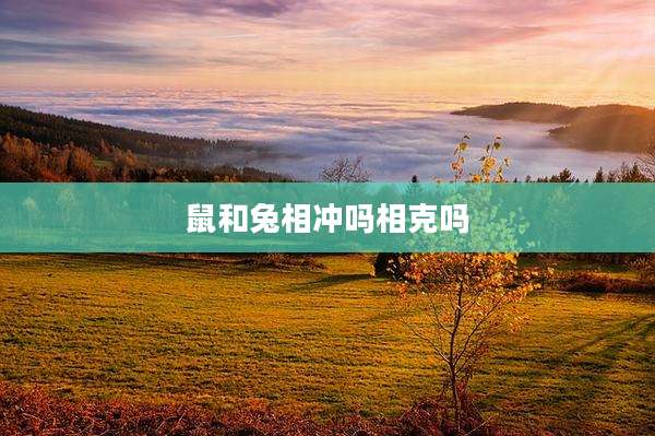 鼠和兔相冲吗相克吗