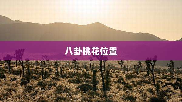 八卦桃花位置