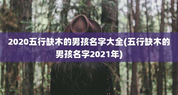 2020五行缺木的男孩名字大全(五行缺木的男孩名字2021年)